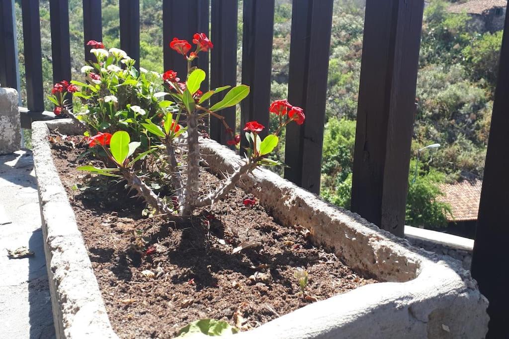 Casa Tia Rosa. Villa Costa Adeje  ภายนอก รูปภาพ
